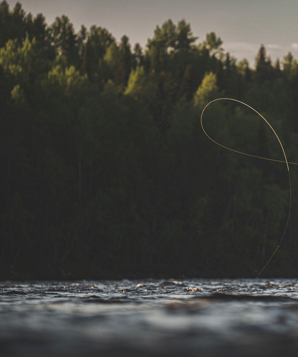 Article from: In the Loop Fly Fishing Magazine - Issue 36