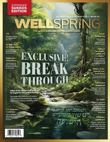 "Wellspring Issue #93" publication cover image