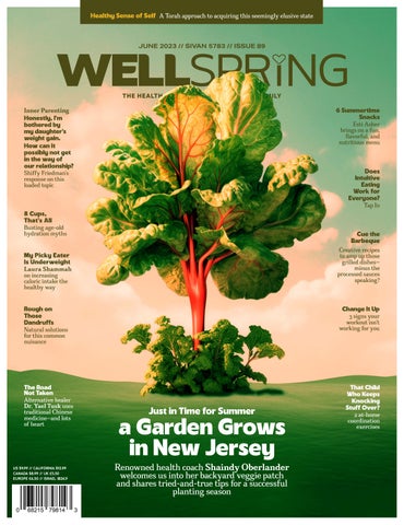 "Wellspring Issue #89" publication cover image